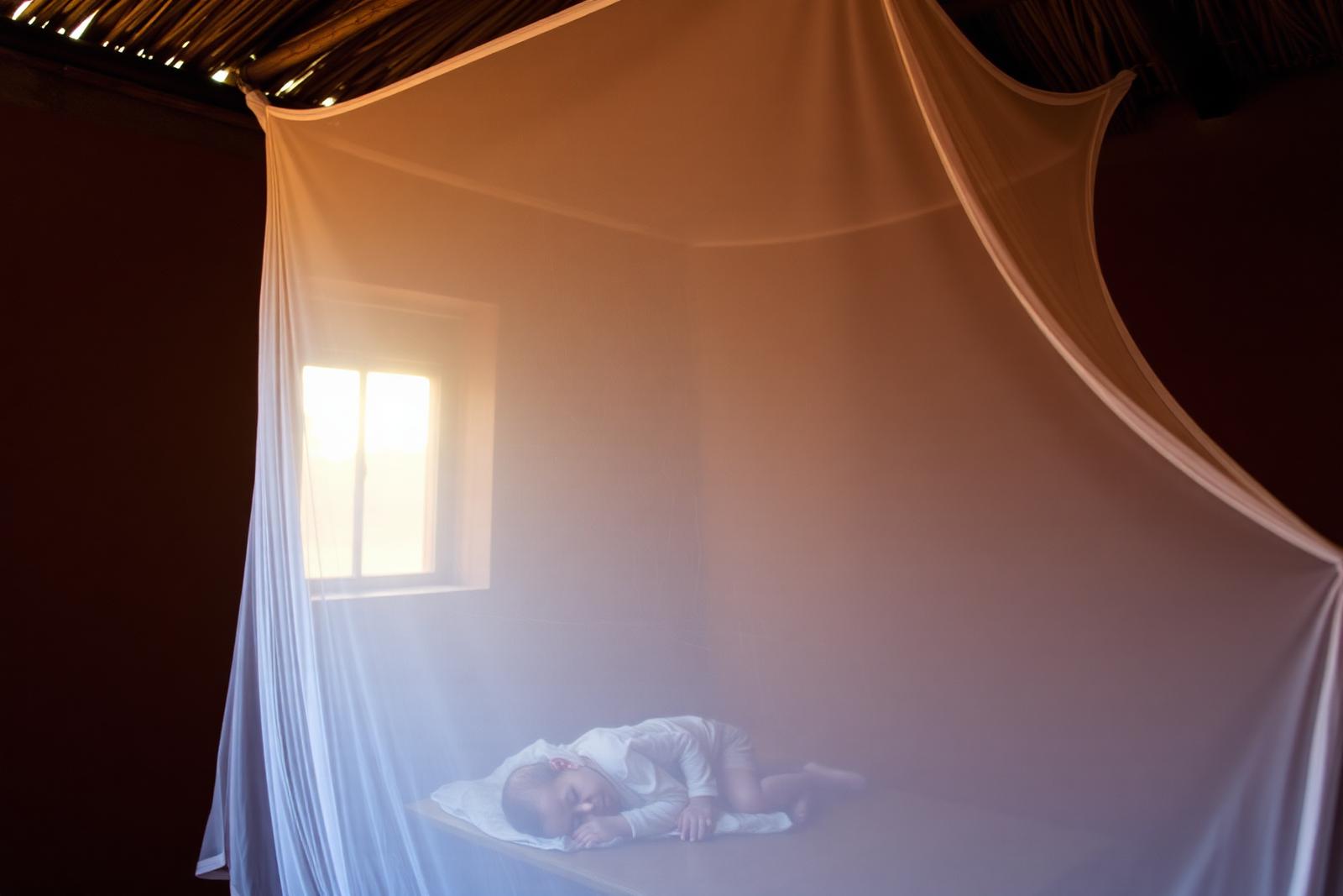 A child sleeps safely beneath a properly hung net.